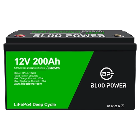 Bloopower 12 24 48 Volt Li-ion Li Ion Cell Batteries Pack for Wind Power System Solar Street Light LED Lighting Lithium Battery